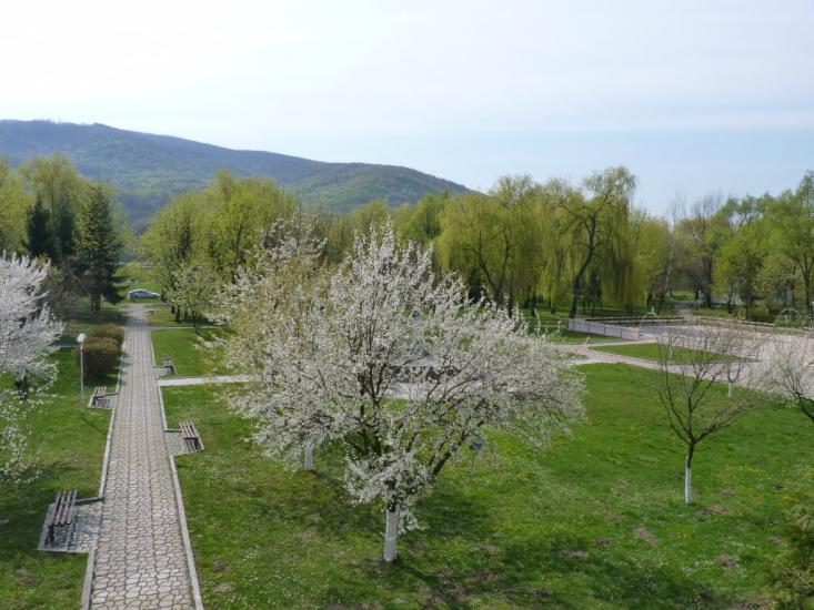 Виноградів з panoramio.com - Vynogradiv