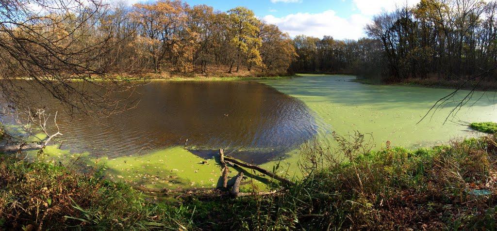 Орлівщина з panoramio.com - Орловщина
