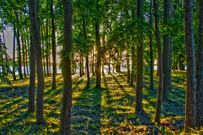 Хотімля з panoramio.com - Хотимля