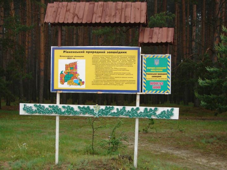 Більська Воля з panoramio.com - Більська Воля