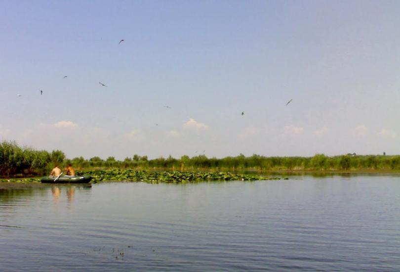 Нова Некрасівка з panoramio.com - Нова Некрасівка