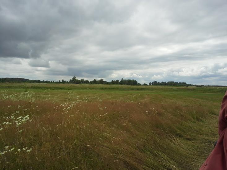 Сошники з panoramio.com - Сошники