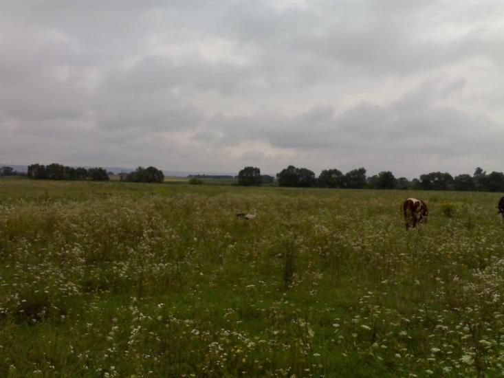 Почапи з panoramio.com - Почапи