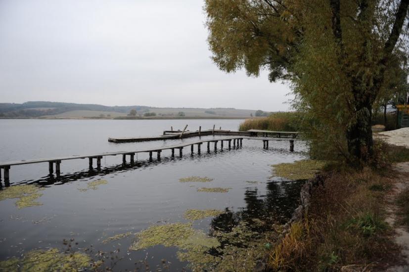 Заріччя з panoramio.com - Заречье