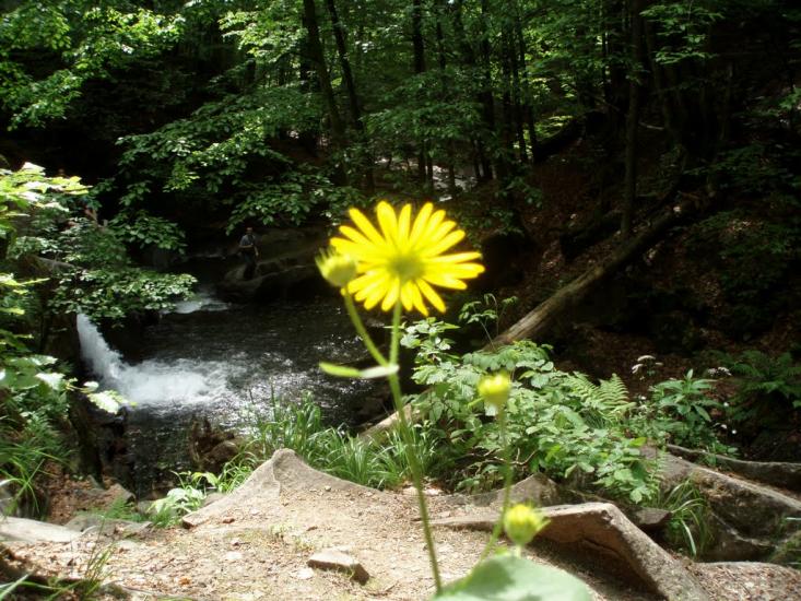 Лумшори з panoramio.com - Лумшоры