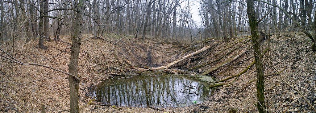 Пискунівка з panoramio.com - Pyskunivka