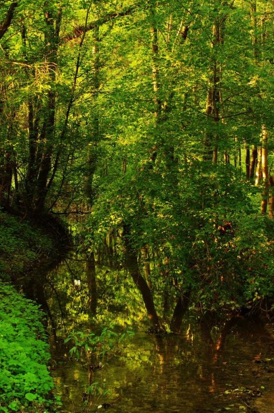 Браїлівка з panoramio.com - Браїлівка