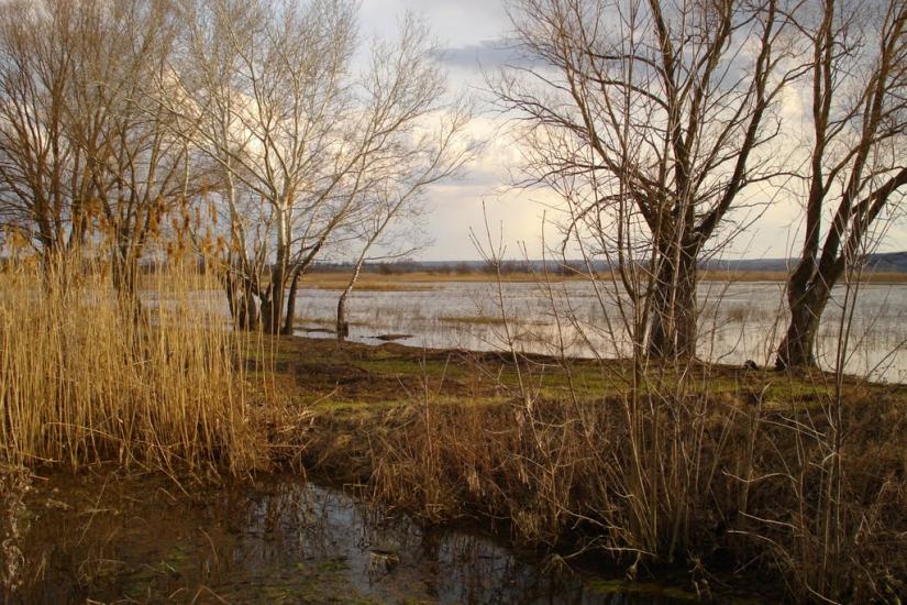 Райгородка з panoramio.com - Райгородка