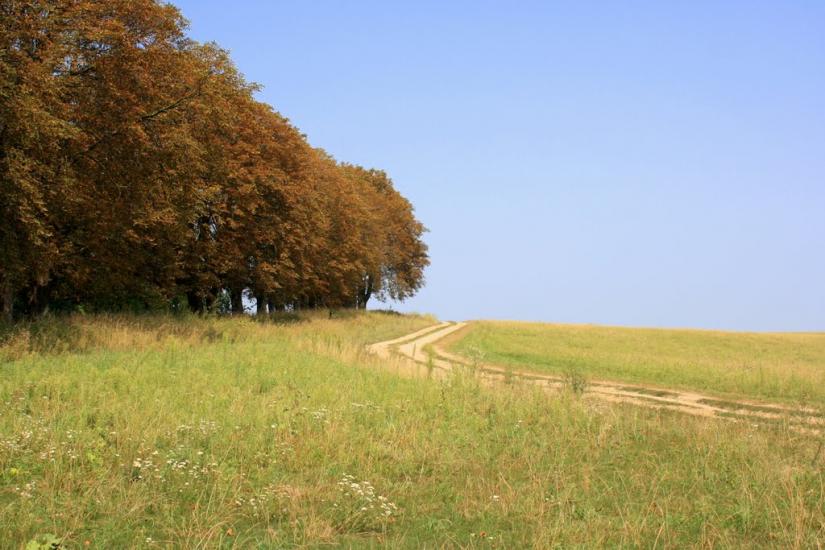 Лище з panoramio.com - Лище