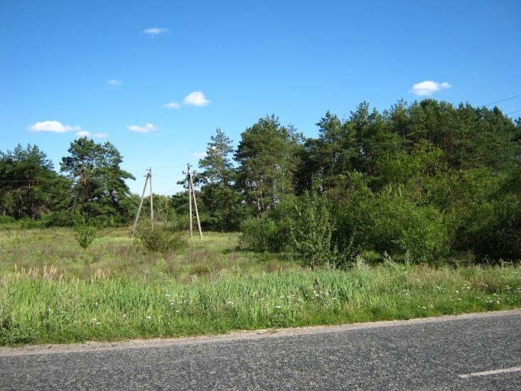 Велика Димерка з panoramio.com - Великая Дымерка