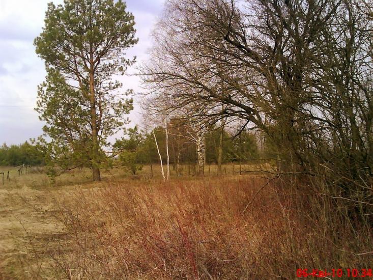 Дудки з panoramio.com - Дудки