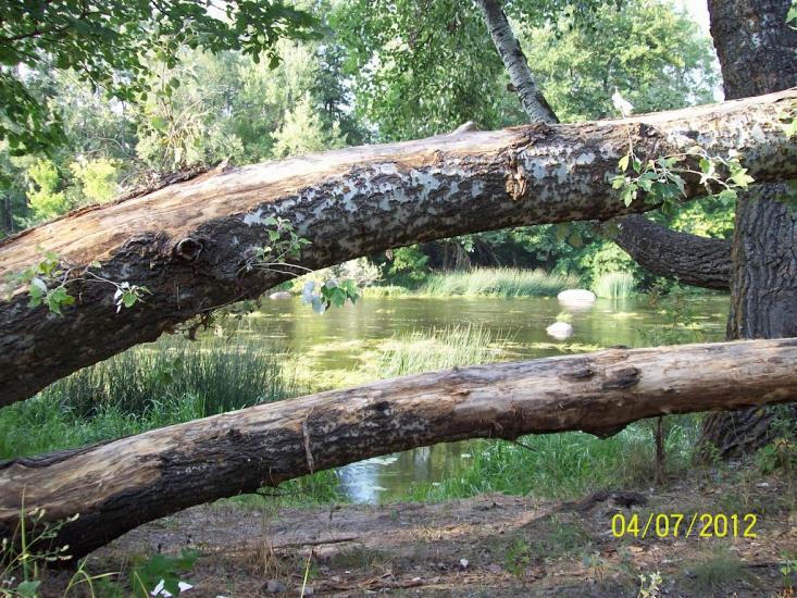 Гаївське з panoramio.com - Гаївське