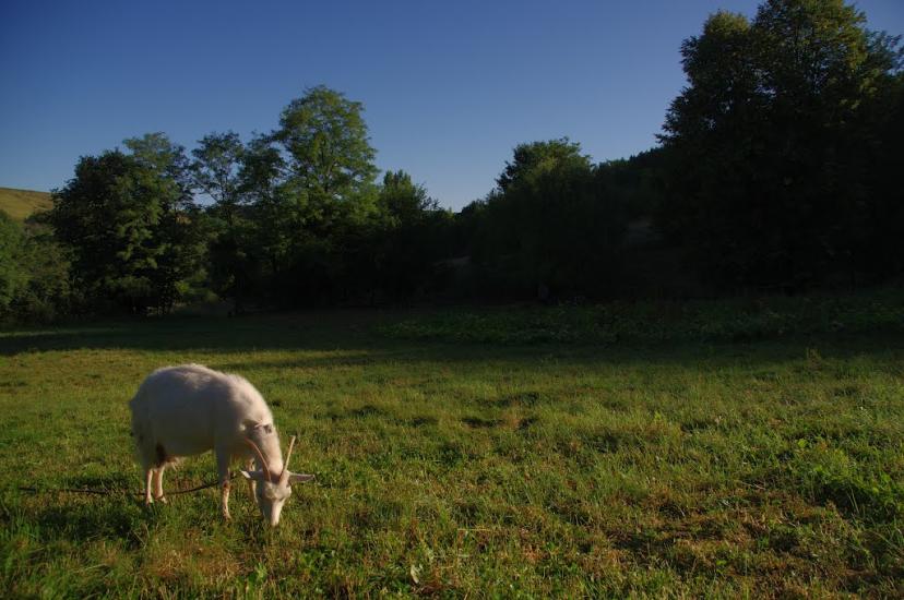 Браїлівка з panoramio.com - Брайловка