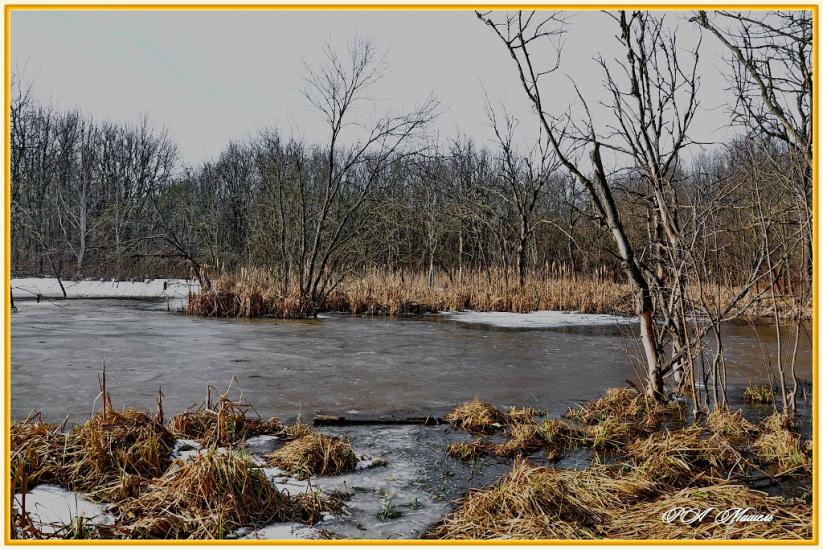Привілля з panoramio.com - Pryvillya