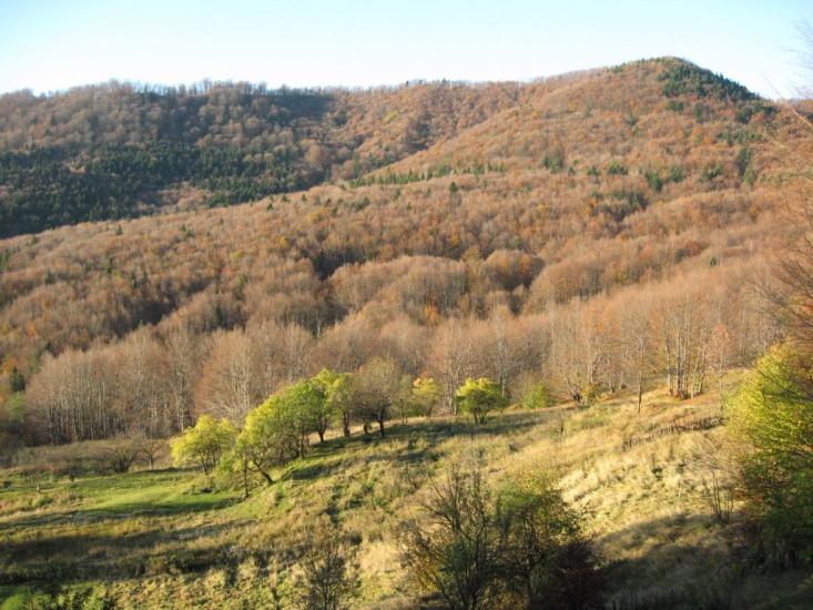Пасічна з panoramio.com - Пасечная