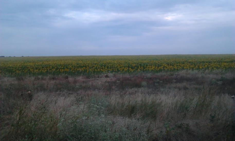 Львове з panoramio.com - Львове