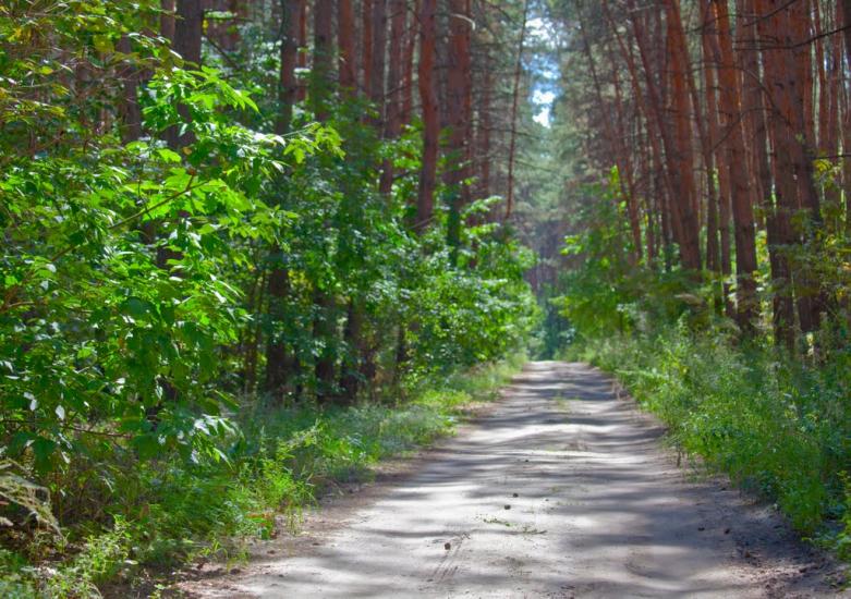 Хотімля з panoramio.com - Khotimlya