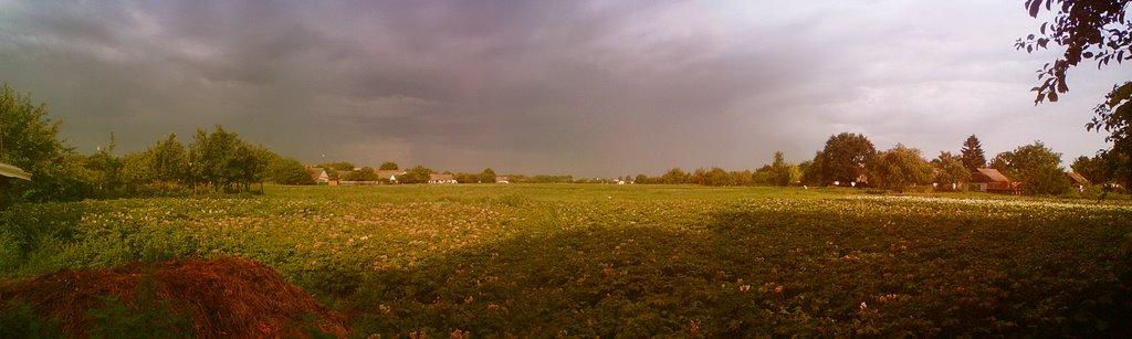 Заріччя з panoramio.com - Заріччя
