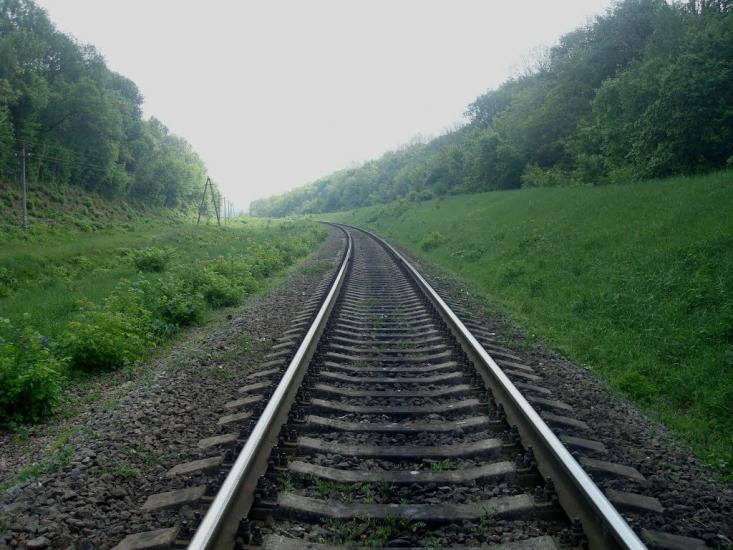 Нестерівці з panoramio.com - Нестеровцы