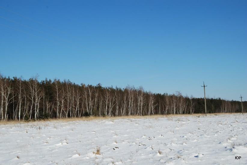 Мала Перещепина з panoramio.com - Малая Перещепина