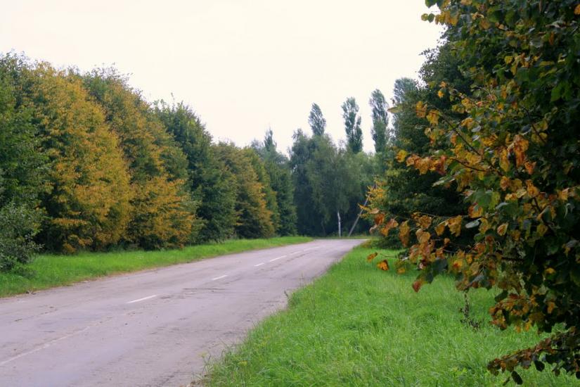 Лище з panoramio.com - Лыще
