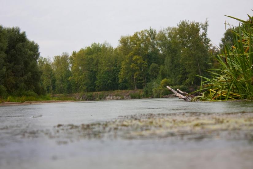Озаричі з panoramio.com - Озаричі