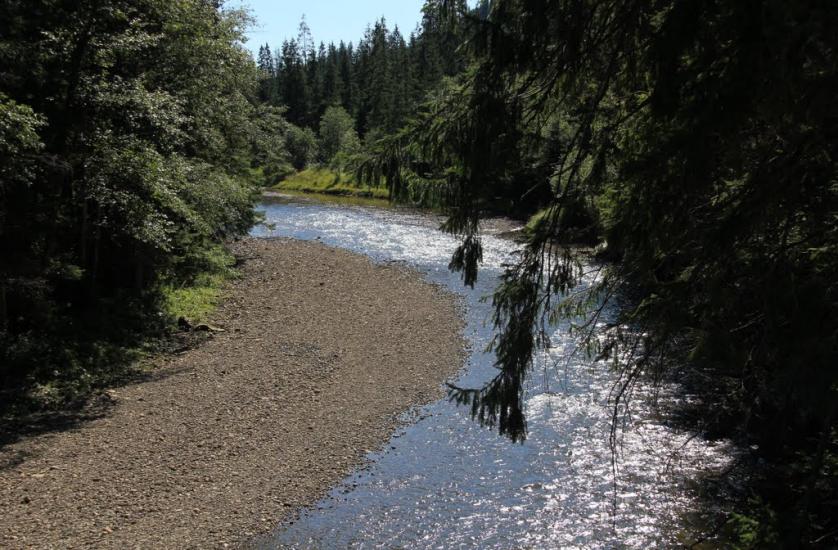 Сенечів з panoramio.com - Сенечев