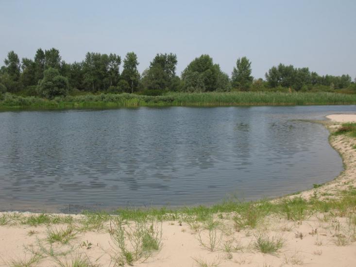 Хрещатик з panoramio.com - Крещатик