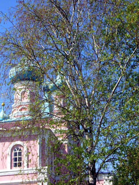 Гребінка з panoramio.com - Гребінка