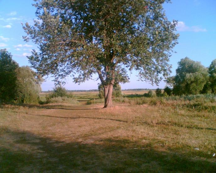 Любитове з panoramio.com - Любитове