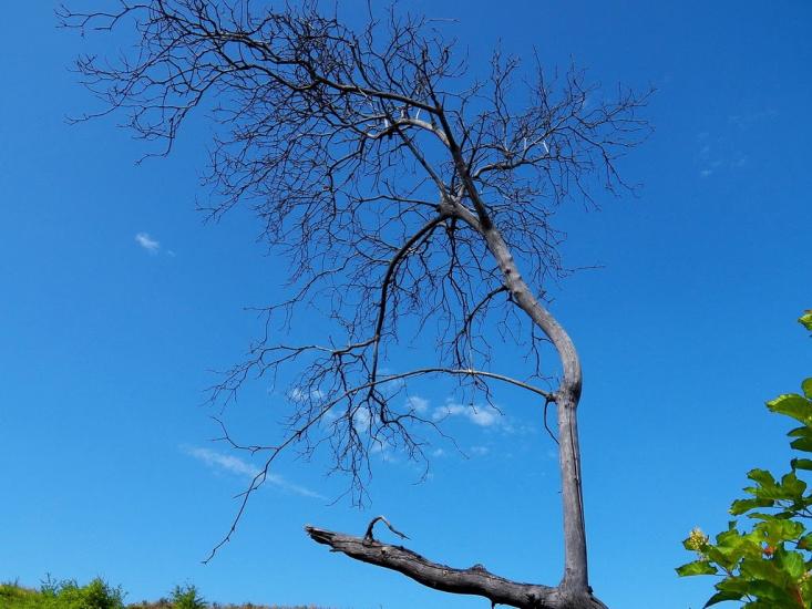 Данилове з panoramio.com - Danylove