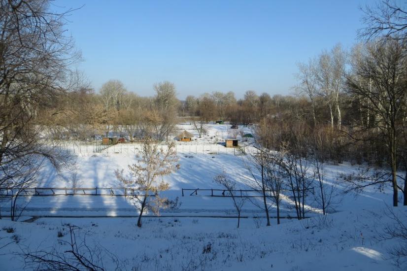 Синичине з panoramio.com - Синичине