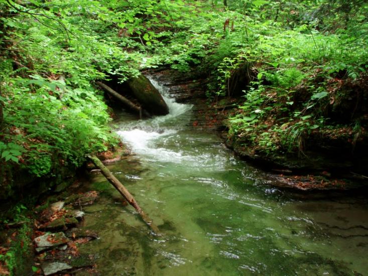 Лумшори з panoramio.com - Лумшоры