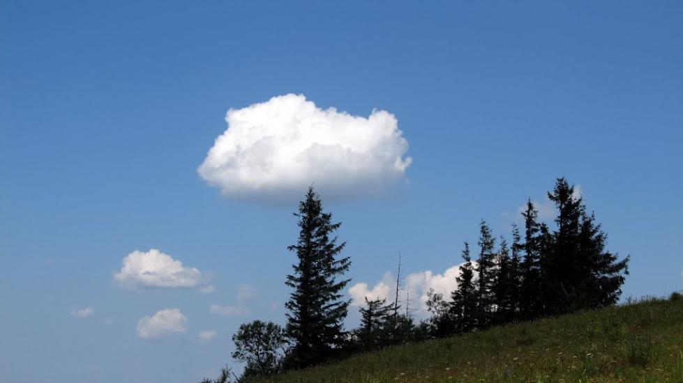 Ялинкувате з panoramio.com - Ялинкувате