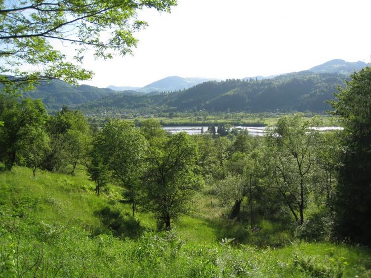 Розтоки з panoramio.com - Растоки