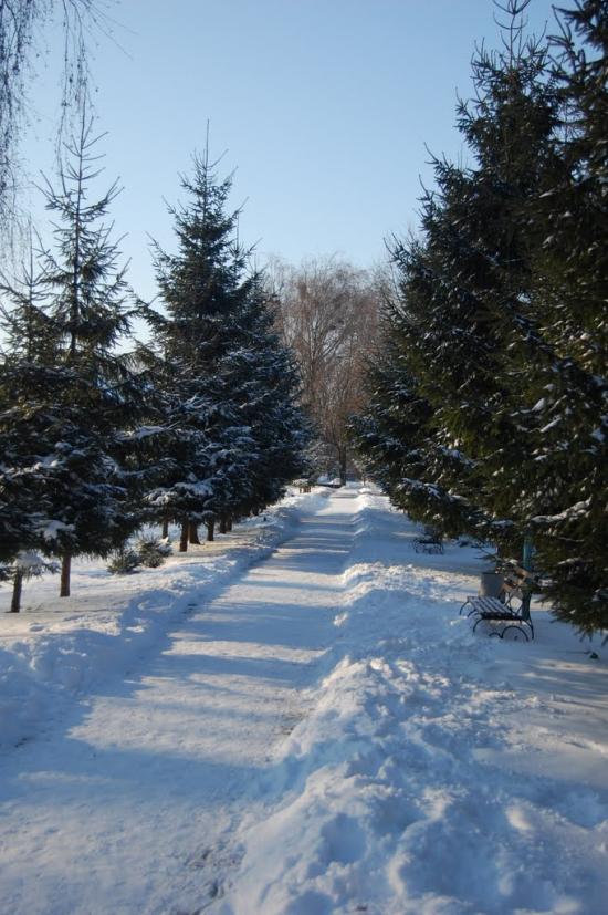 Демидівка з panoramio.com - Демидівка