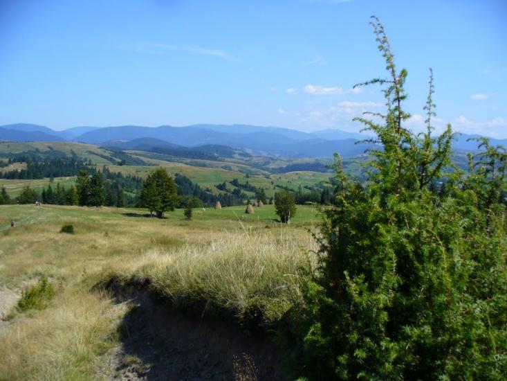 Потік з panoramio.com - Потік