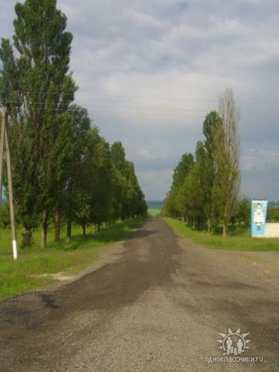 Несвоя з panoramio.com - Nesvoya