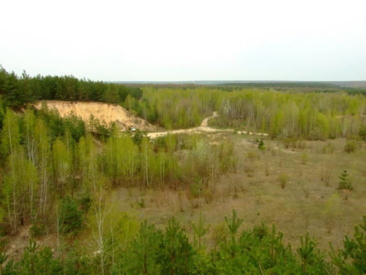 Кицівка з panoramio.com - Кицевка