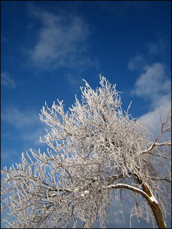 Перлявка з panoramio.com - Перлявка