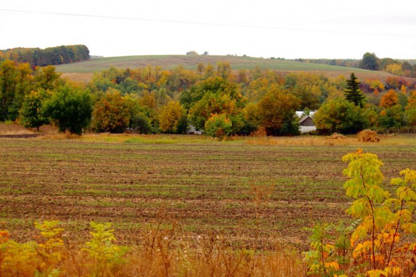 Мала Киріївка з panoramio.com - Мала Киріївка