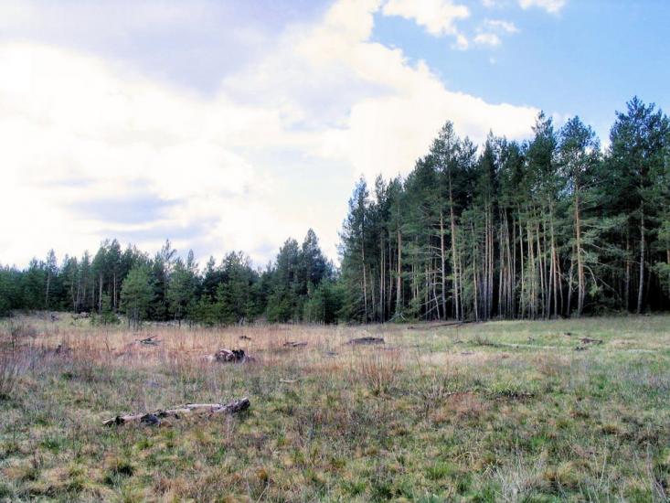 Підлісне з panoramio.com - Pidlisne