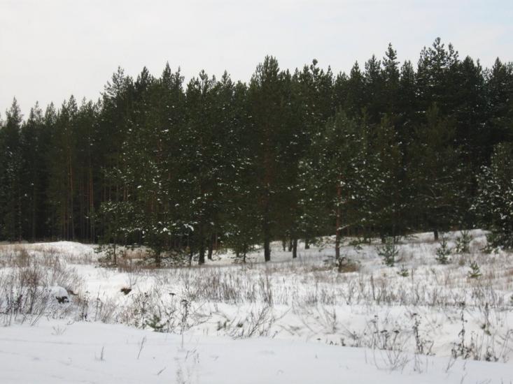Букине з panoramio.com - Bukyne
