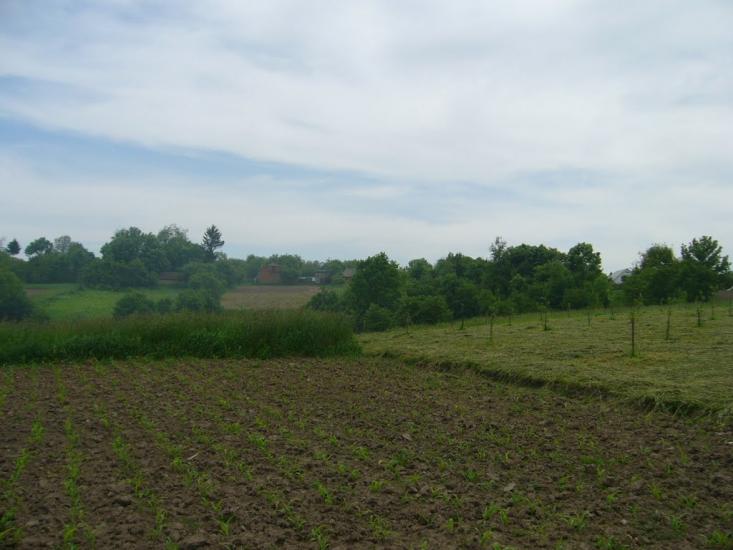 Коржівці з panoramio.com - Коржевцы