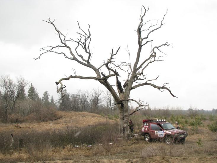 Підлісне з panoramio.com - Pidlisne