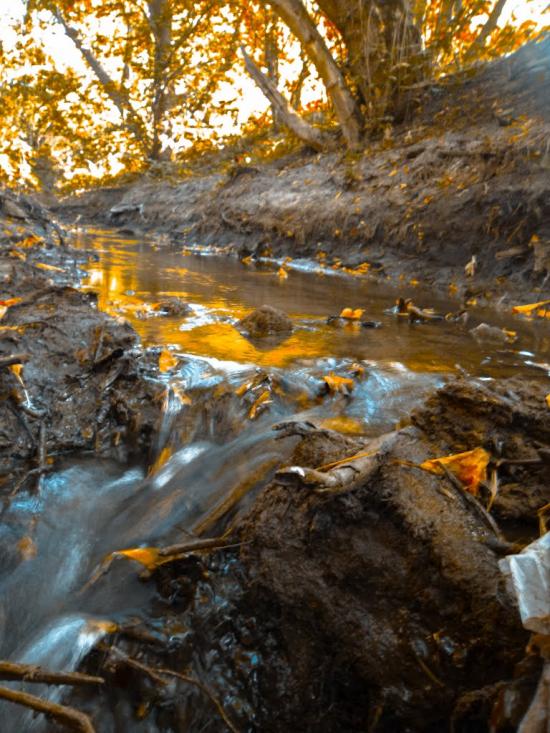 Куріпчине з panoramio.com - Куріпчине