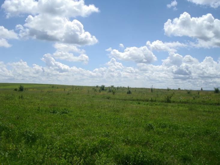 Балакири з panoramio.com - Балакири