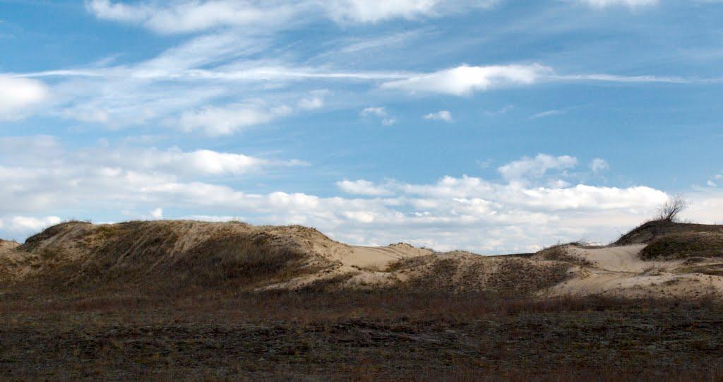 Кицівка з panoramio.com - Кицевка