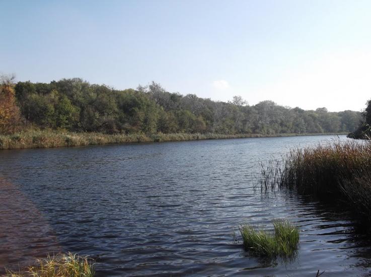 Хащеве з panoramio.com - Хащеве