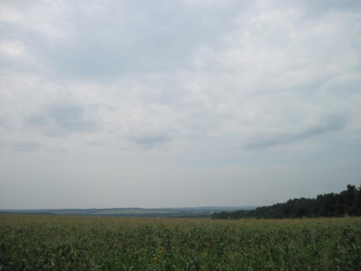 Павлиш з panoramio.com - Павлиш
